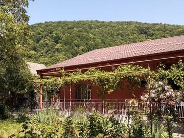 Фотографии Гостевой дом House in Lagodekhi г. Лагодехи (Грузия) №1 Фото Гостевой дом House in Lagodekhi г. Лагодехи 1