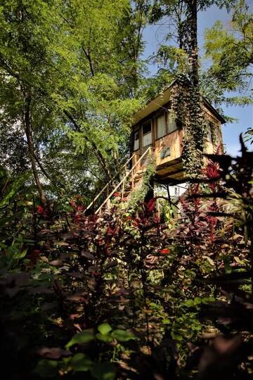 Фото номера Дом для отпуска Дома для отпуска Robinson Crusoe г. Лагодехи 43