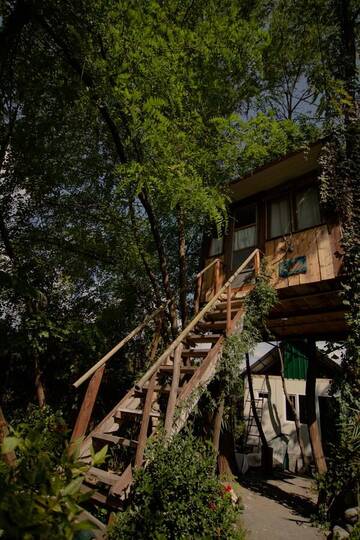 Фото номера Дом для отпуска Дома для отпуска Robinson Crusoe г. Лагодехи 8