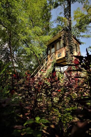 Фото номера Дом для отпуска Дома для отпуска Robinson Crusoe г. Лагодехи 9