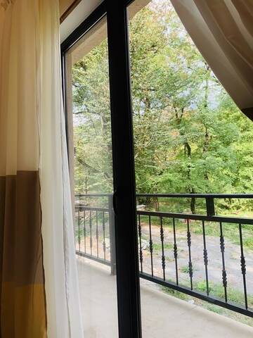 Фото номера Большой двухместный номер с 1 кроватью Отель Wald Hotel Lagodekhi Rooms г. Лагодехи 8
