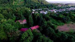 Фото Отель Wald Hotel Lagodekhi г. Лагодехи